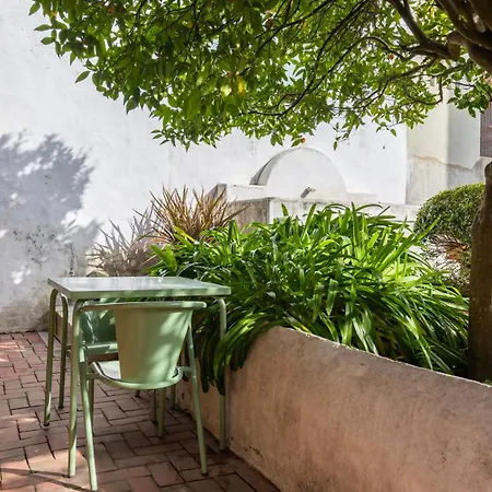 Lägenhet Hidden Graca Garden By Lovelystay Lisboa