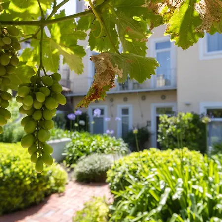 Hidden Graca Garden By Lovelystay Lisboa
